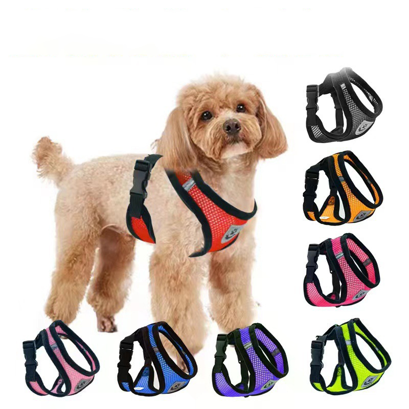 Hot summer small dog pet chest - đánh giá và giá Mini Trampoline Spring