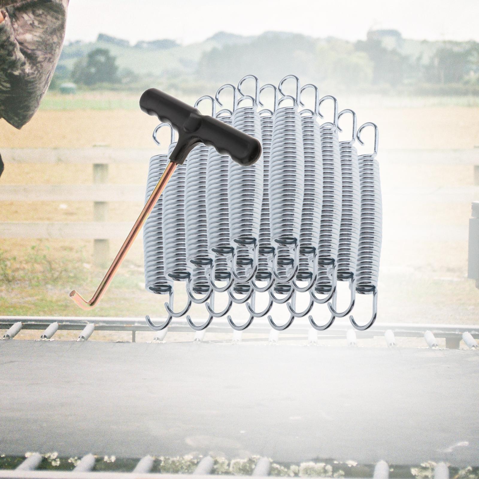 20x Trampoline Springs Premium - đánh giá và giá Mini Trampoline Spring